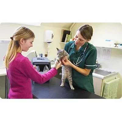 Campanhas de Vacinação e Check-up Ganham Espaço em Petshops e Clínicas