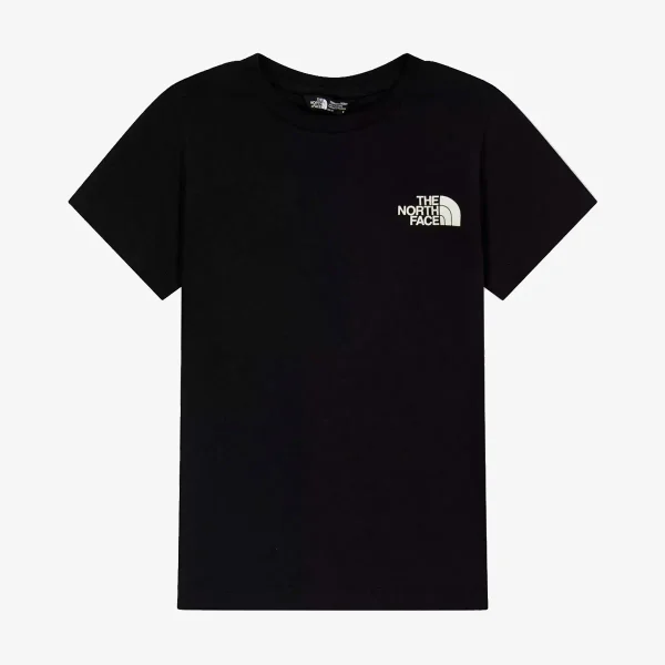 Camiseta The North Face Evolution Half Dome MTN "Black"