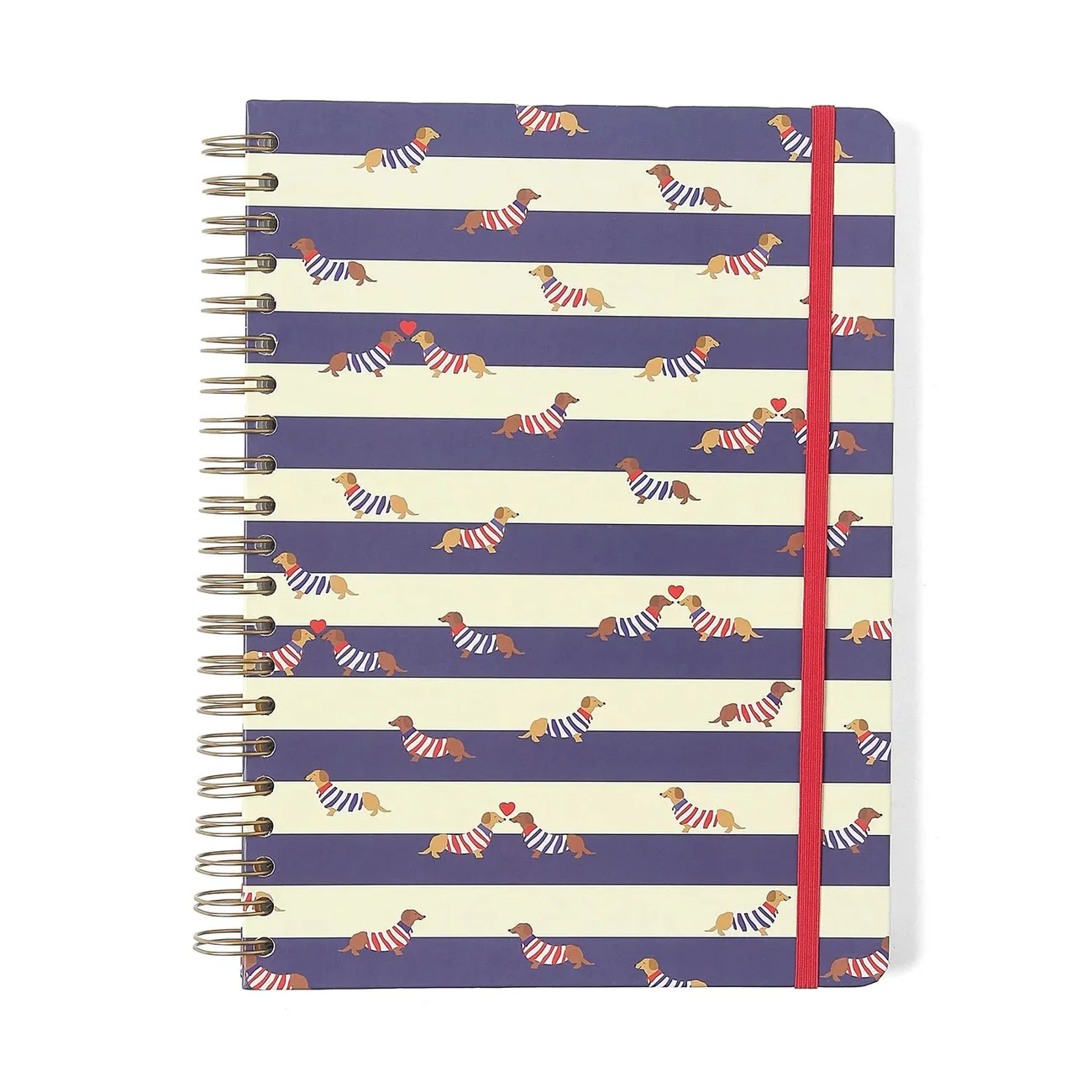 Caderno Espiral Praia Cachorros 10 Matérias 160 Folhas
