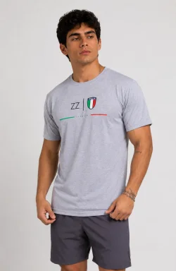 Cinza